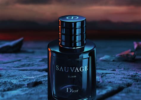 dior sauvage 2015 au|dior sauvage smells like.